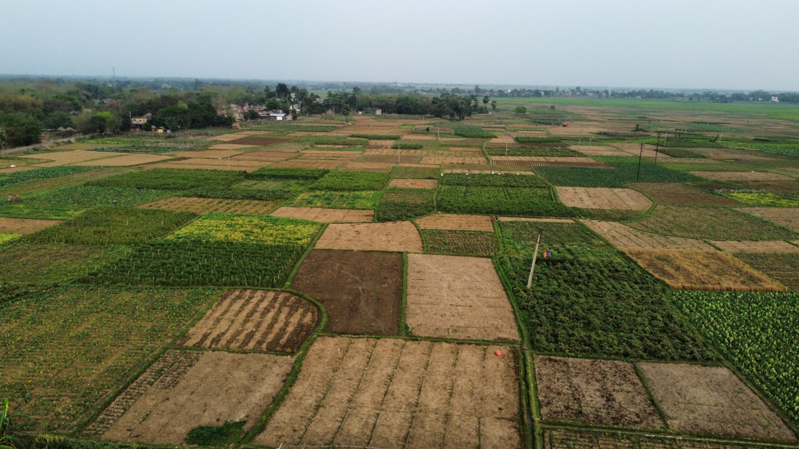 Drone Image